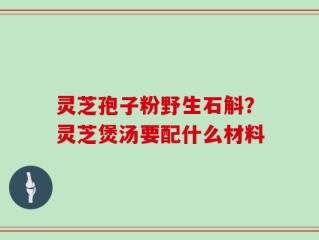 灵芝孢子粉野生石斛？灵芝煲汤要配什么材料