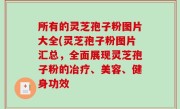 所有的灵芝孢子粉图片大全(灵芝孢子粉图片汇总，全面展现灵芝孢子粉的冶疗、美容、健身功效