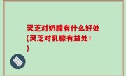 灵芝对奶腺有什么好处(灵芝对乳腺有益处！)