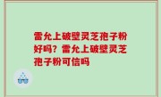 雷允上破壁灵芝孢子粉好吗？雷允上破壁灵芝孢子粉可信吗