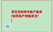 灵芝怎样种才能产量高(如何高产种植灵芝？)