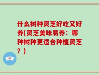 什么树种灵芝好吃又好养(灵芝美味易养：哪种树种更适合种植灵芝？)