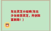 东北灵芝小姑娘(东北少女收获灵芝，开创致富新路！)