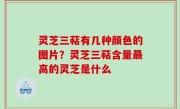 灵芝三萜有几种颜色的图片？灵芝三萜含量最高的灵芝是什么