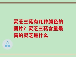 灵芝三萜有几种颜色的图片？灵芝三萜含量最高的灵芝是什么