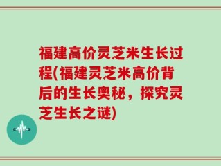 福建高价灵芝米生长过程(福建灵芝米高价背后的生长奥秘，探究灵芝生长之谜)