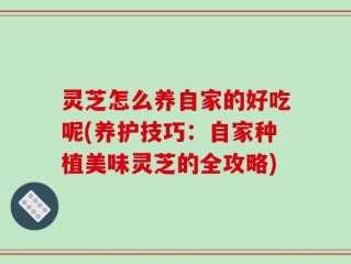 灵芝怎么养自家的好吃呢(养护技巧：自家种植美味灵芝的全攻略)