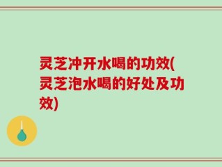 灵芝冲开水喝的功效(灵芝泡水喝的好处及功效)