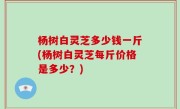 杨树白灵芝多少钱一斤(杨树白灵芝每斤价格是多少？)