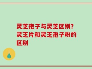 灵芝孢子与灵芝区别？灵芝片和灵芝孢子粉的区别