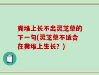 粪堆上长不出灵芝草的下一句(灵芝草不适合在粪堆上生长？)