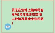 灵芝在空地上能种吗有毒吗(灵芝能否在空地上种植及其安全性问题)