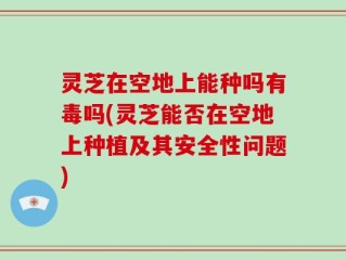 灵芝在空地上能种吗有毒吗(灵芝能否在空地上种植及其安全性问题)