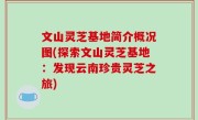 文山灵芝基地简介概况图(探索文山灵芝基地：发现云南珍贵灵芝之旅)