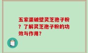 五家渠破壁灵芝孢子粉？了解灵芝孢子粉的功效与作用？