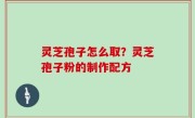 灵芝孢子怎么取？灵芝孢子粉的制作配方