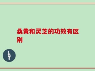 桑黄和灵芝的功效有区别