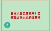 日本六色灵芝孢子？灵芝是古代人说的仙草吗