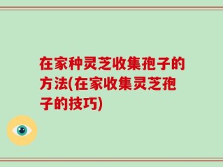 在家种灵芝收集孢子的方法(在家收集灵芝孢子的技巧)
