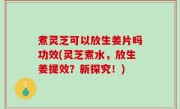 煮灵芝可以放生姜片吗功效(灵芝煮水，放生姜提效？新探究！)