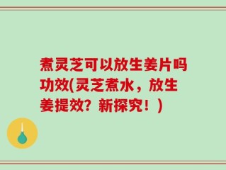 煮灵芝可以放生姜片吗功效(灵芝煮水，放生姜提效？新探究！)