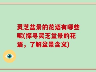 灵芝盆景的花语有哪些呢(探寻灵芝盆景的花语，了解盆景含义)