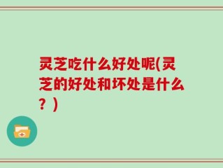 灵芝吃什么好处呢(灵芝的好处和坏处是什么？)