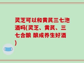 灵芝可以和黄芪三七泡酒吗(灵芝、黄芪、三七合酿 酿成养生好酒)