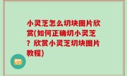 小灵芝怎么切块图片欣赏(如何正确切小灵芝？欣赏小灵芝切块图片教程)