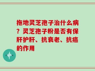 拖地灵芝孢子治什么病？灵芝孢子粉是否有保肝护肝、抗衰老、抗癌的作用