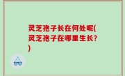 灵芝孢子长在何处呢(灵芝孢子在哪里生长？)