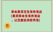 草本黑灵芝生发养发店(黑灵草本生发养发店，让您重拾浓密秀发)
