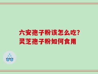 六安孢子粉该怎么吃？灵芝孢子粉如何食用