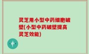 灵芝用小型中药细胞破壁(小型中药破壁提高灵芝效能)
