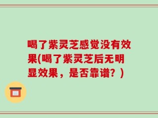 喝了紫灵芝感觉没有效果(喝了紫灵芝后无明显效果，是否靠谱？)