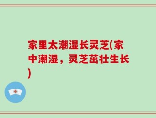 家里太潮湿长灵芝(家中潮湿，灵芝茁壮生长)