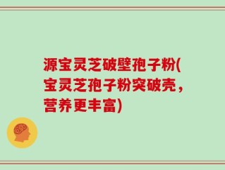 源宝灵芝破壁孢子粉(宝灵芝孢子粉突破壳，营养更丰富)