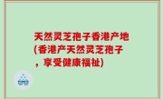 天然灵芝孢子香港产地(香港产天然灵芝孢子，享受健康福祉)