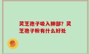 灵芝孢子吸入肺部？灵芝孢子粉有什么好处