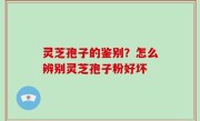灵芝孢子的鉴别？怎么辨别灵芝孢子粉好坏