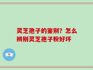 灵芝孢子的鉴别？怎么辨别灵芝孢子粉好坏