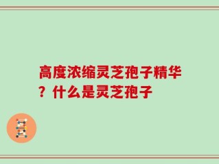 高度浓缩灵芝孢子精华？什么是灵芝孢子