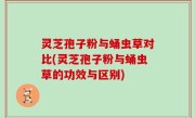 灵芝孢子粉与蛹虫草对比(灵芝孢子粉与蛹虫草的功效与区别)