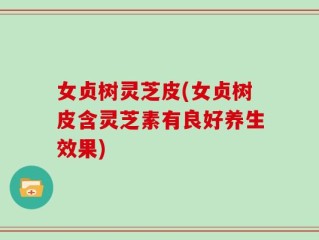女贞树灵芝皮(女贞树皮含灵芝素有良好养生效果)
