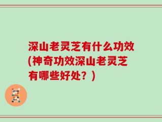 深山老灵芝有什么功效(神奇功效深山老灵芝有哪些好处？)