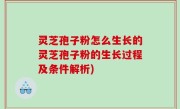 灵芝孢子粉怎么生长的灵芝孢子粉的生长过程及条件解析)