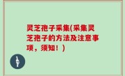 灵芝孢子采集(采集灵芝孢子的方法及注意事项，须知！)