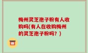 梅州灵芝孢子粉有人收购吗(有人在收购梅州的灵芝孢子粉吗？)