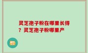 灵芝孢子粉在哪里长得？灵芝孢子粉哪里产
