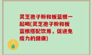 灵芝孢子粉和板蓝根一起喝(灵芝孢子粉和板蓝根搭配饮用，促进免疫力的健康)